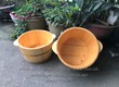 Chậu ngâm chân gỗ tự nhiên giá rẻ tại kim sơn, ninh bình 