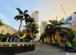 Ở ghép 1 phòng trong căn hộ 2PN   Luxcity, Quận 7, TP HCM 