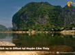 Mình từng chọn dịch vụ in offset tại huyện Cẩm Thủy và tiết kiệm được kha khá chi...