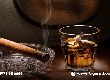 Sau 6 tháng hút cigar, gu mình thay đổi hoàn toàn 