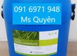 Men vi sinh Bacillus licheniformis cho tôm, cá 