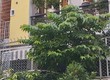 Cho thuê phòng 60m2 gần trung tâm quận 1