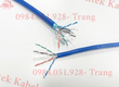 Cáp mạng Altek Kabel có lớp chống nhiễu 