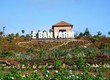 Tour Du Lịch Măng Đen   Khám Phá Thiên Đường Xanh Tây Nguyên 