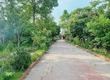 Bán đất nhà vườn tại tt Kiến Thuỵ, view sông Đa Độ, dt gần 300m2 