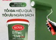 Sơn Nội Thất Nào Tối Ưu Cho Dự Án Sơn Sửa Lại 