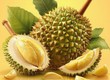 Cách chăm sóc sầu riêng   hướng dẫn chi tiết giúp nâng cao năng suất trong năm...