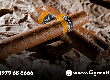 Giải đáp  Câu hỏi thường gặp về kích thước cigar dành cho người mới chơi 