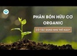 7 Loại Phân Bón Quan Trọng Và Cách Sự Dụng Hiệu Qủa 