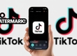 TikTok Video Without Watermark   Best Tools To Download No Logo 