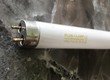 Bóng đèn thu hút côn trùng Pluslamp 10W 