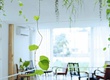 Sang nhượng quán cafe Quận 3   Ngô Thời Nhiệm, Quận 3, TP HCM 