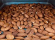 Nâng tầm giá trị hạt Hạnh nhân: Bắt đầu từ bước sấy chuyên nghiệp 