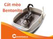 Hướng dẫn các thủ tục nhập khẩu Cát Mèo Bentonite 