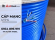 Cáp mạng UTP CAT6 Altek Kabel chính hãng 