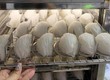 Ứng dụng công nghệ sấy lạnh trong sản xuất tổ yến chất lượng cao 