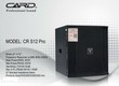 Loa sub Card, DMX, LSPro, GT, AP ASCOUTIC, JBL giá hợp lý, đẹp hết ý 