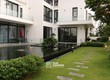Ý tưởng mẫu sân vườn nhỏ đẹp với tiểu cảnh và lối đi tự nhiên 