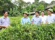 Khởi nghiệp thành công nhờ đầu tư vào hệ thống sản xuất dầu gội dược liệu thiên nhiên...