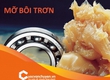 Thủ Tục Nhập Khẩu Mỡ Bôi Trơn 