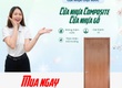 Cửa Composite   Chống Nước, Đẹp Như Gỗ 