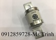 Cầu chì bussmann 250FM 