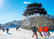 Những ai nên du lịch Hàn Quốc theo tour 