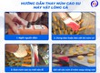 Núm cao su vặt lông gà vịt ... 