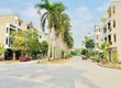 Bán lô đất mặt đường đôi Nguyễn Đình Bể, KĐT An Phú, Tây HP, 65.81m2, mt 4.5m, góc...