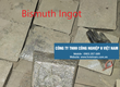 Bismuth 99,99 tại hồ chí minh 