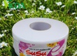 Giấy vệ sinh công nghiệp bến tre Đồng Bằng Sông Cửu Long 