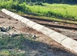❗Không Mua Bây Giờ   Sau Hối Không Kịp   ❗ 