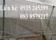 Lưới lỗ nhỏ trồng rau sạch 