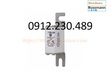 Cầu chì bussmann 170M1308 