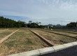 Săn đất vàng An Bình   Vị trí đẹp, pháp lý sạch, sinh lời mạnh 