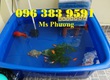 Thùng chữ nhật 200 lít hàng mới 100, bền đẹp, an toàn thực phẩm tuyệt đối. 