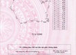 Bán đất tại Tân Phước, Đồng Phú, Bình Phước giá cực chất 16,5 tỷ, 22015 m2
