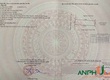 Chính chủ gửi bán lô đất trục liên TDP Đông, Phường Thiên Hương xã Lâm Động...