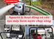 Cấu tạo và nguyên lý hoạt động của máy bơm nước bằng xăng 