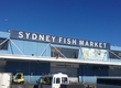 Tour Thu Đông Úc: Mono Sydney 2025 cùng SACOTravel 