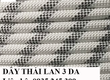 Dây đu lau kính và sơn nước 