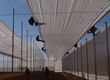 Màng lợp nhà kính từ thương hiệu top 1 Israel   A.A Politiv 
