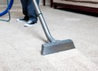 Bạn có chắc thảm trong nhà bạn đang sạch như bạn nghĩ 