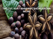 Thủ tục xuất khẩu hạt sachi  sacha inchi 