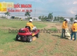 Dịch Vụ Cắt Cỏ Sân Vườn   Nhanh Chóng 