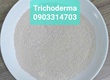 Trichoderma  siêu nấm phân hủy   Gói 1 kg  Hàng sẵn kho 