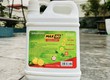 Nước rửa chén thương hiệu MAXGO là sự ưu tiên hàng đầu giành cho nhà hàng, khách sạn...