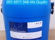 Chủng men đường ruột đơn dòng Bacillus Subtilis Ấn Độ 