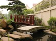 Tiểu cảnh hiện đại   Điểm nhấn tinh tế cho không gian sống đương đại 