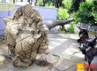 Dịch vụ chặt tỉa cây, hạ tán mùa mưa bão uy tín ở Đồng Nai 